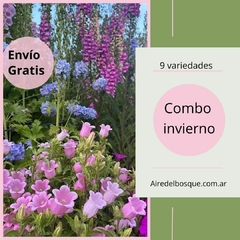 combo invierno 2024