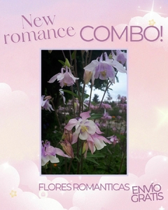 Combo new romance! - tienda online