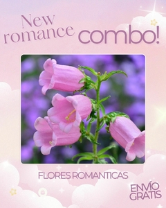 Combo new romance! - Airedelbosque 