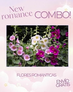 Combo new romance! - comprar online