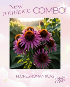 Combo new romance!