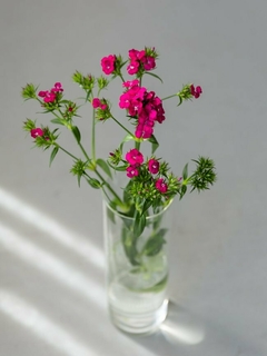 Imagen de Combo flores rosas: 7 variedades