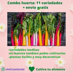 Combo huerta: 11 variedades + envio GRATIS