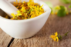 Hypericum perforatum-medicinal ( 100 semillas ) - comprar online