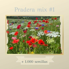 Pradera mix #1 : mas de 1.000 semillas!