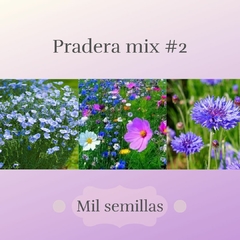 Pradera mix #2: Mil semillas!!!