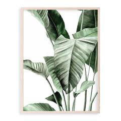 Match Hojas Selva x 2 - comprar online