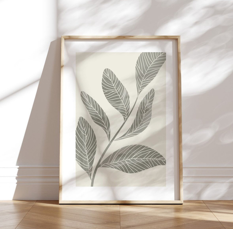 Plantas lindas #2