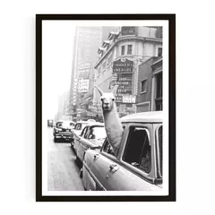 Llama - Stock - 30x40