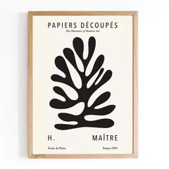 Matisse black - Stock - 40x50