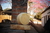 Queijo Mantiqueira