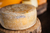 Queijo Trilha (leite de cabra) na internet