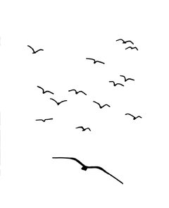 Gaivotas