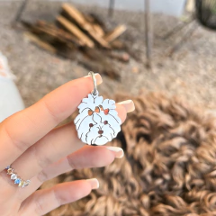 Dije Parra el collar de tu peludo en internet