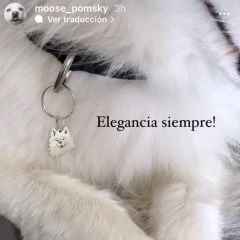 Dije Parra el collar de tu peludo