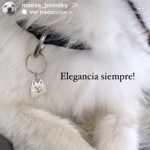 Dije Parra el collar de tu peludo