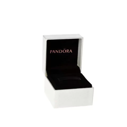 Estuche de aretes o anillos P