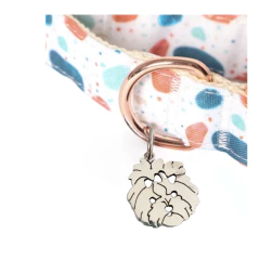 Dije Parra el collar de tu peludo - comprar online