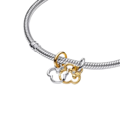 Charm mickey Minnie en internet