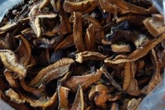Hongos de Pino x 100 Gr