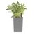 Maceta Plastica de Autorriego Cuadrada Tramontina Gris 78130/065