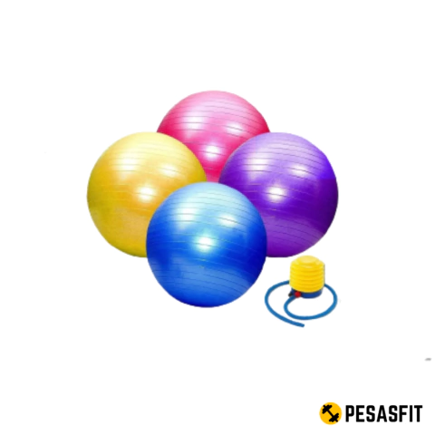 Pelota Esferodinamia c/ inflador Importada