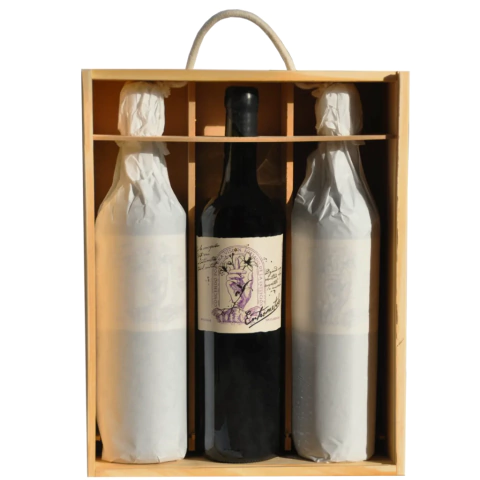 Entrometido Estuche x 3 Colección 2020