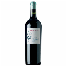 Yacochuya Malbec 2022