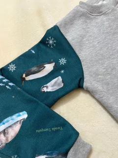 Buzo Antártida Friza en internet