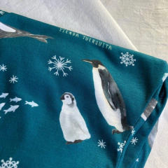 Pantalón Antártida Argentina en internet