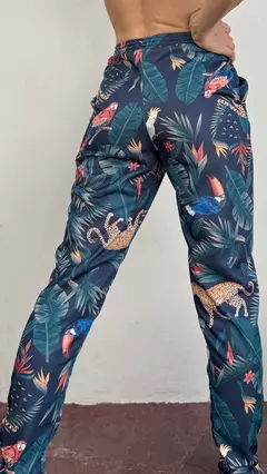 Pant Iguazú en internet