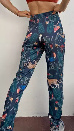 Imagen de Pant Iguazú