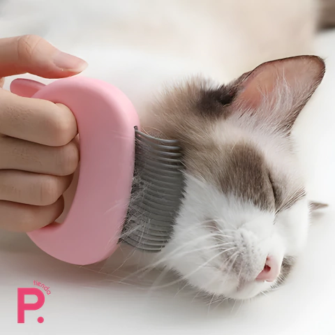 Bigotes PrrCat | Cepillo Masajeador para Gatitos - comprar online