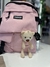 Mochila teddy - Liberata y Ceferina