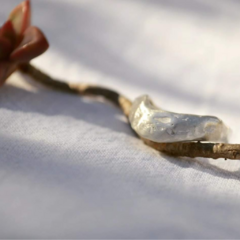 Anillo Nativo - Hojarasca