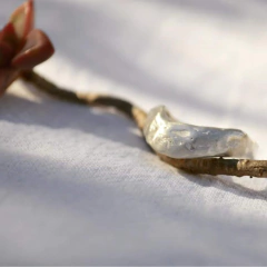 Anillo Nativo - Hojarasca