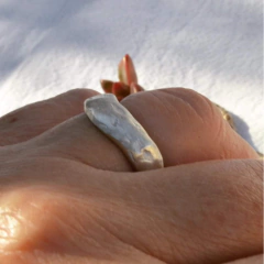Anillo Nativo en internet