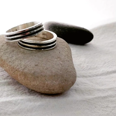 Alianzas a la par - comprar online