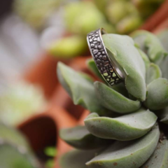 Anillo Serpiente