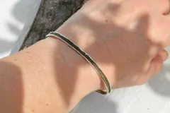 Pulsera Terra en internet