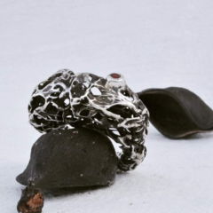 Anillo Raíces