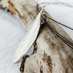 Dije Acacia en internet