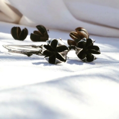 Aros Blossom en internet