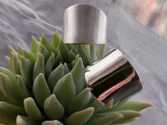 Anillo Maravilla en internet