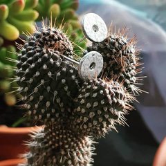 Aros Playos - comprar online