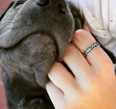 Anillo Guarda Iguana