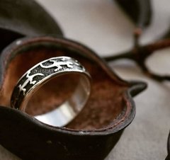 Anillo Guarda Iguana en internet