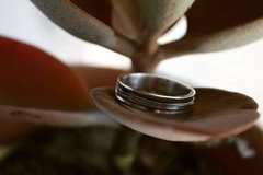 Anillo Siena - comprar online