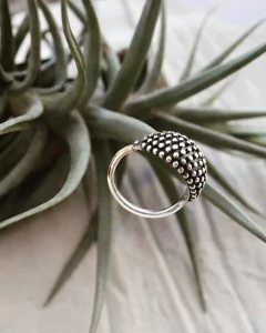Anillo Erizo - Hojarasca