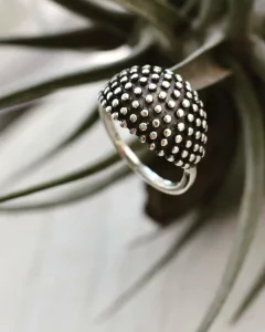 Anillo Erizo en internet
